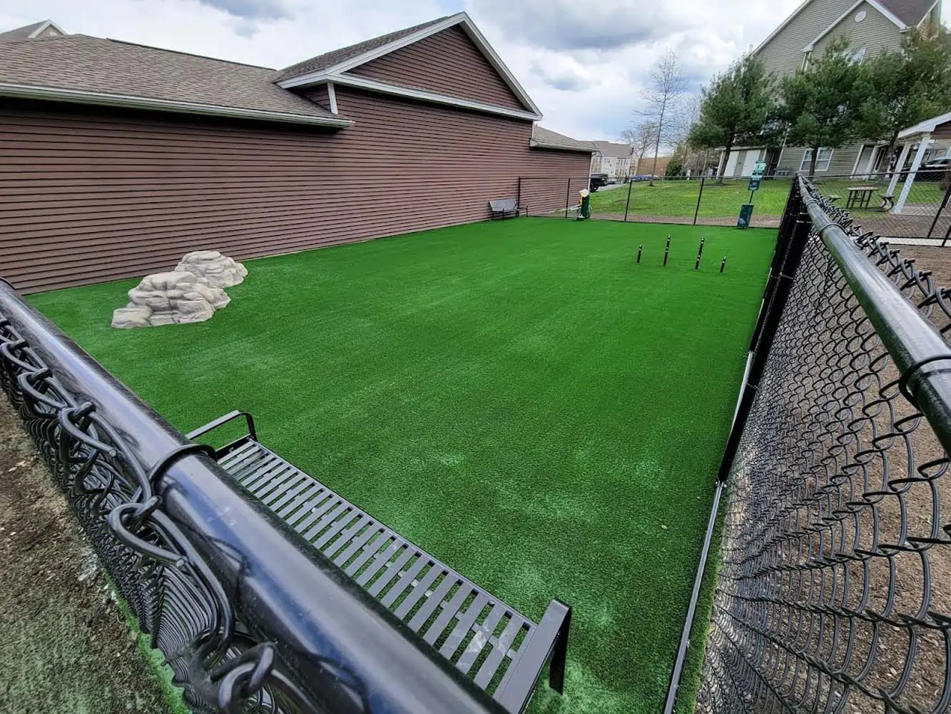 Pet Friendly Artificial Turf Installation in Weston Lakes, TX